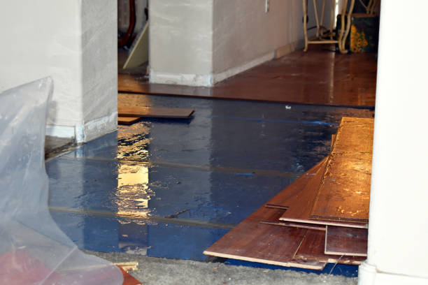 Professional Basement Flood Cleanup technician working in Beecher, MI